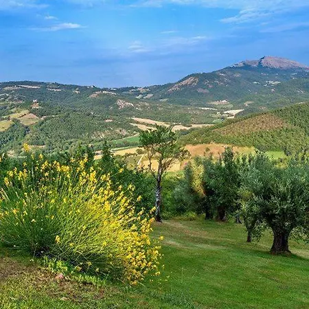 La Mita Sleeps 6 With Pool And Wifi * Preggio